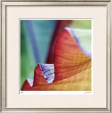 Banana Leaves III