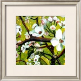 Buy Blossom Lullaby III at AllPosters.com