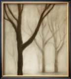 Buy Forest I at AllPosters.com
