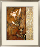 Buy Two Lily Buds at AllPosters.com