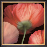 Buy Celebration I at AllPosters.com
