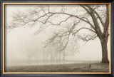 Buy Layers of Trees I at AllPosters.com