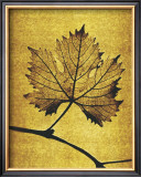 Buy Golden Time I at AllPosters.com