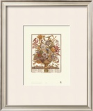 Twelve Months of Flowers, 1730, September