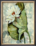 Buy Amazonia I at AllPosters.com