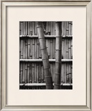 Buy Bamboo and Wall at AllPosters.com