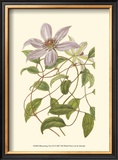 Buy Blossoming Vine III at AllPosters.com