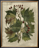 Buy Deshayes Tree I at AllPosters.com