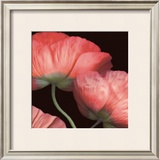 Buy Celebration II at AllPosters.com