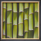 Bamboo Lengths