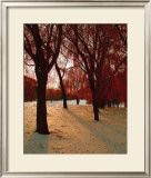 Buy Autumn Snow II at AllPosters.com