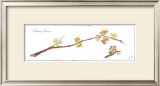 Quince Branch