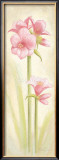 Buy Fun at AllPosters.com