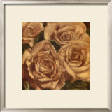 Buy Rose Cluster II at AllPosters.com