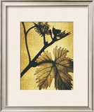 Buy Golden Time II at AllPosters.com