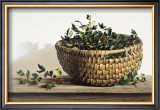 Buy Holly at AllPosters.com