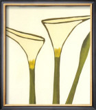 Buy Arum, c.2003 at AllPosters.com