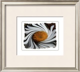 Buy Coup de Foudre IV at AllPosters.com
