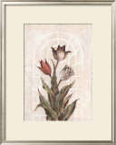 Buy Tulip Companion I at AllPosters.com