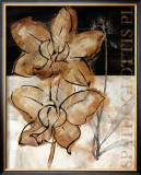 Buy Blooming Orchid I at AllPosters.com