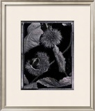 Buy Chestnuts at AllPosters.com