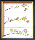 Buy Spring Branches at AllPosters.com
