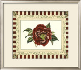 Buy Camelia Reticulata at AllPosters.com