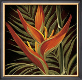 Buy Birds of Paradise I at AllPosters.com