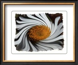 Buy Coup de Foudre IV at AllPosters.com