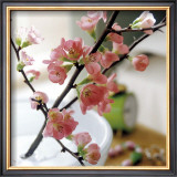 Buy Appletree Branch at AllPosters.com