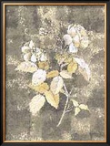 Buy Silver Rose I at AllPosters.com