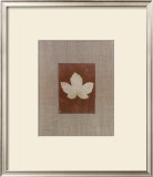 Buy Silver Leaf III at AllPosters.com
