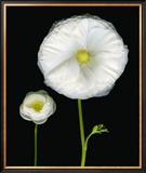 Buy Two Friends II at AllPosters.com