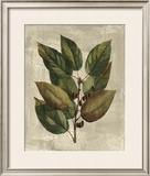 Buy Deshayes Tree IV at AllPosters.com