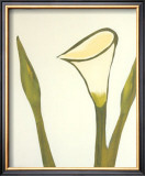 Buy Arum, c.2003 at AllPosters.com