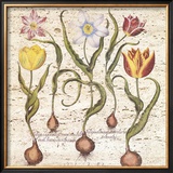 Travertine Botanicals I