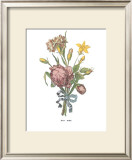Buy Roses at AllPosters.com