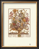 Twelve Months of Flowers, 1730, September