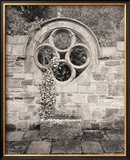 Secret Garden II