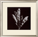 Buy Simplicity at AllPosters.com