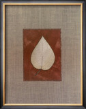Silver Leaf IV
