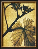 Buy Golden Time II at AllPosters.com