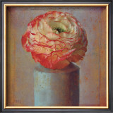 Buy Floral Study I at AllPosters.com
