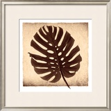 Buy Monstera II at AllPosters.com