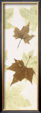 Buy Falling Leaves III at AllPosters.com