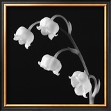 Buy Spring Bells I at AllPosters.com