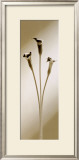 Buy Calla at AllPosters.com