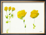 Buy Untitled III at AllPosters.com