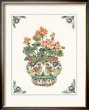 Buy Geraniums at AllPosters.com