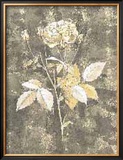 Buy Silver Rose II at AllPosters.com